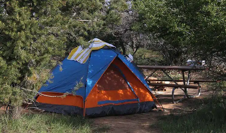 A colorful blue and orange tent is set up in a wooded campsite near a picnic table.